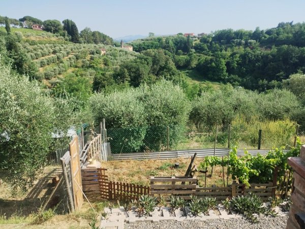 terreno agricolo in vendita a Palaia