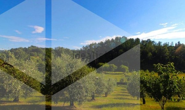 terreno agricolo in vendita a Palaia in zona Chiecinella