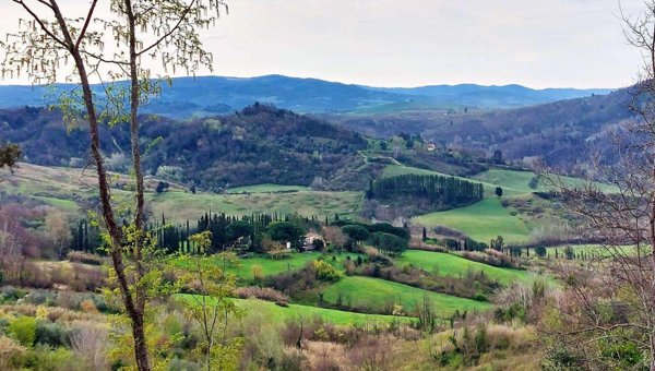 casa indipendente in vendita a Palaia