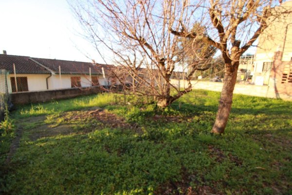 appartamento in vendita a Palaia