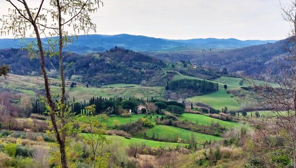 casale in vendita a Palaia