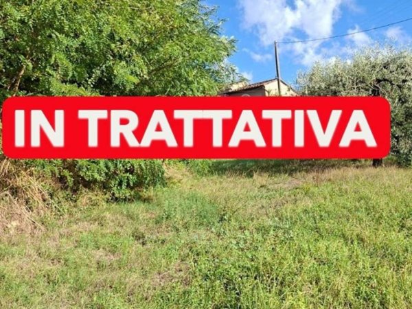 terreno agricolo in vendita a Palaia in zona Montefoscoli