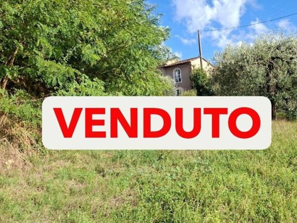 terreno agricolo in vendita a Palaia in zona Montefoscoli