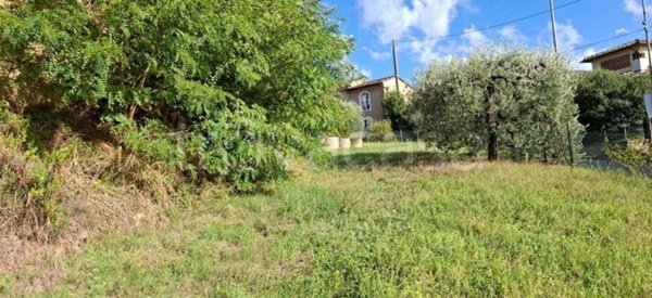 terreno agricolo in vendita a Palaia in zona Montefoscoli