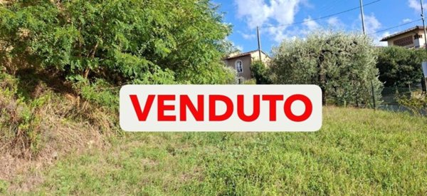 terreno agricolo in vendita a Palaia in zona Montefoscoli