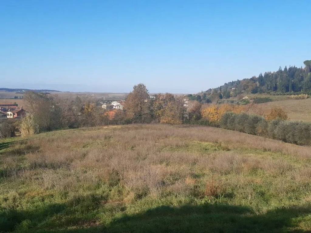 terreno agricolo in vendita a Palaia
