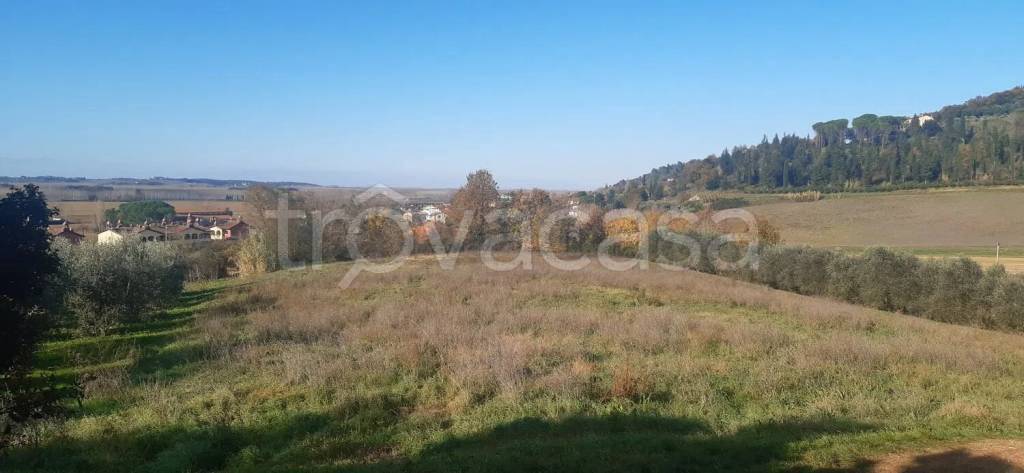 terreno agricolo in vendita a Palaia