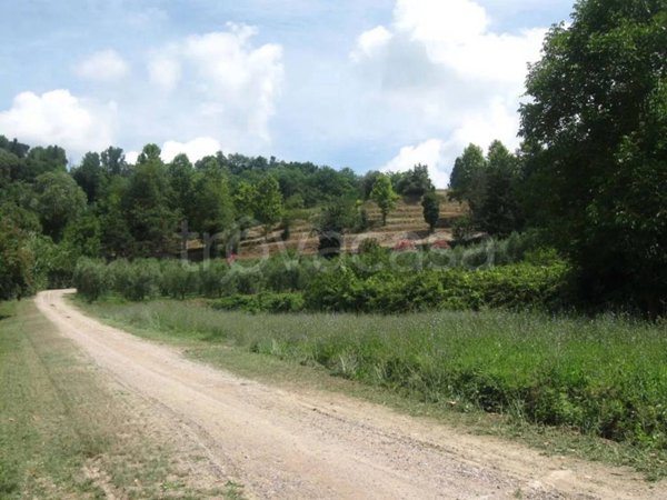 terreno edificabile in vendita a Palaia in zona Forcoli