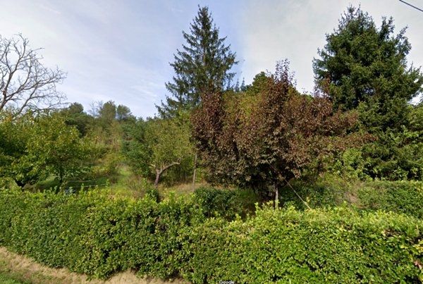 terreno agricolo in vendita a Palaia in zona Chiecinella