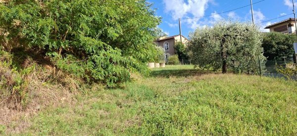terreno agricolo in vendita a Palaia in zona Forcoli