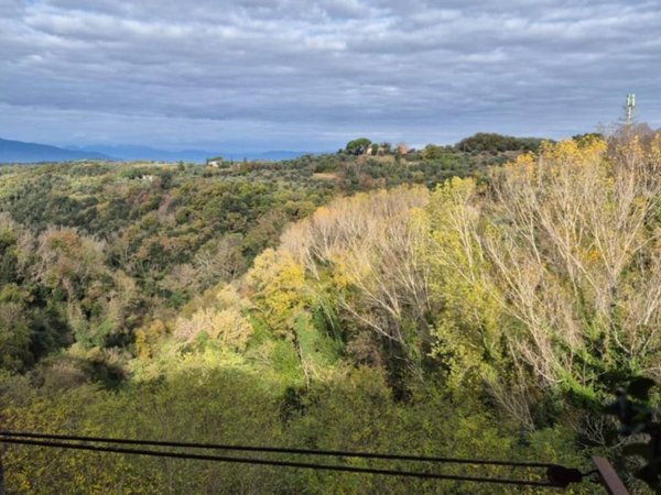 appartamento in vendita a Palaia