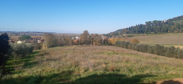 terreno agricolo in vendita a Palaia