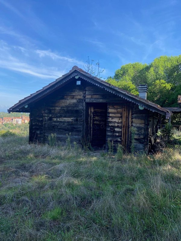 terreno agricolo in vendita a Palaia