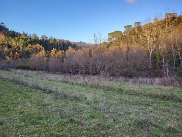 terreno agricolo in vendita a Palaia
