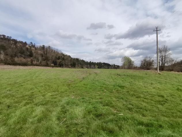 terreno agricolo in vendita a Palaia