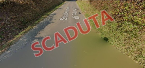 appartamento in vendita a Palaia