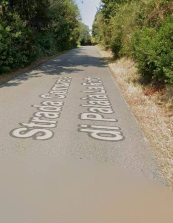 appartamento in vendita a Palaia