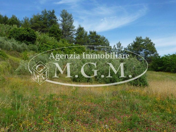 terreno agricolo in vendita a Palaia in zona Chiecinella
