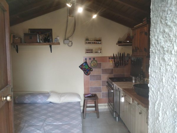 terreno agricolo in vendita a Palaia