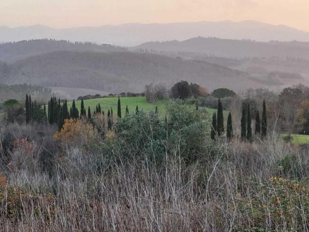 terreno agricolo in vendita a Palaia
