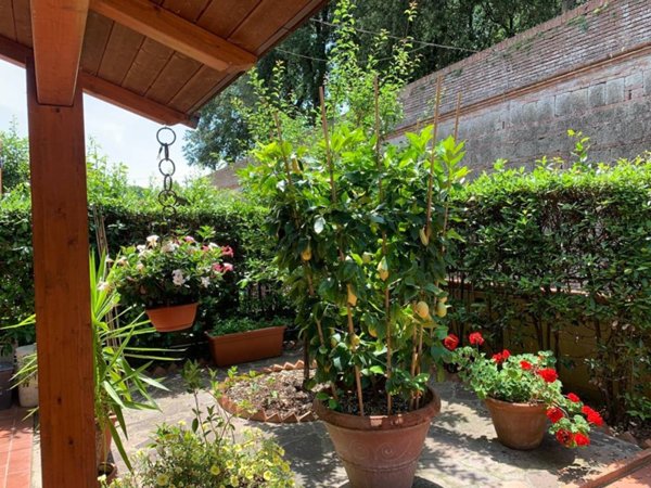 casa indipendente in vendita a Palaia