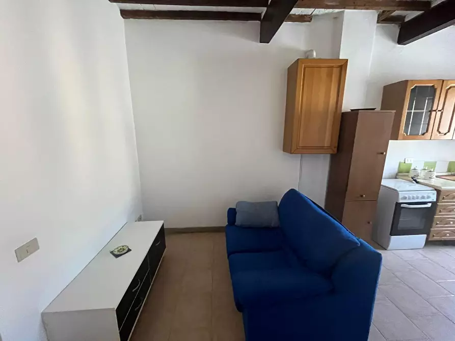 appartamento in vendita a Palaia