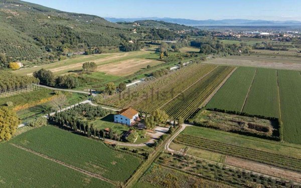 casa indipendente in vendita a Palaia