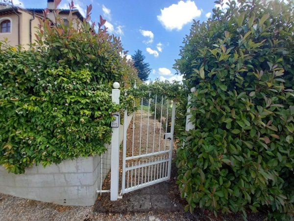 casa indipendente in vendita a Palaia in zona Montanelli