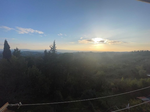 appartamento in vendita a Palaia