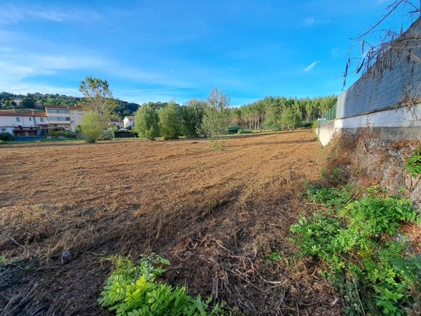 terreno agricolo in vendita a Palaia