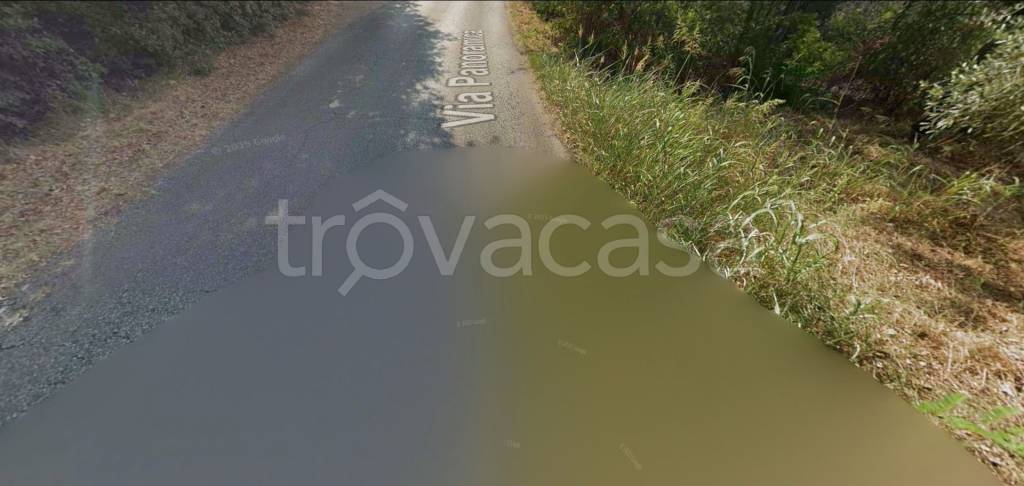 appartamento in vendita a Palaia