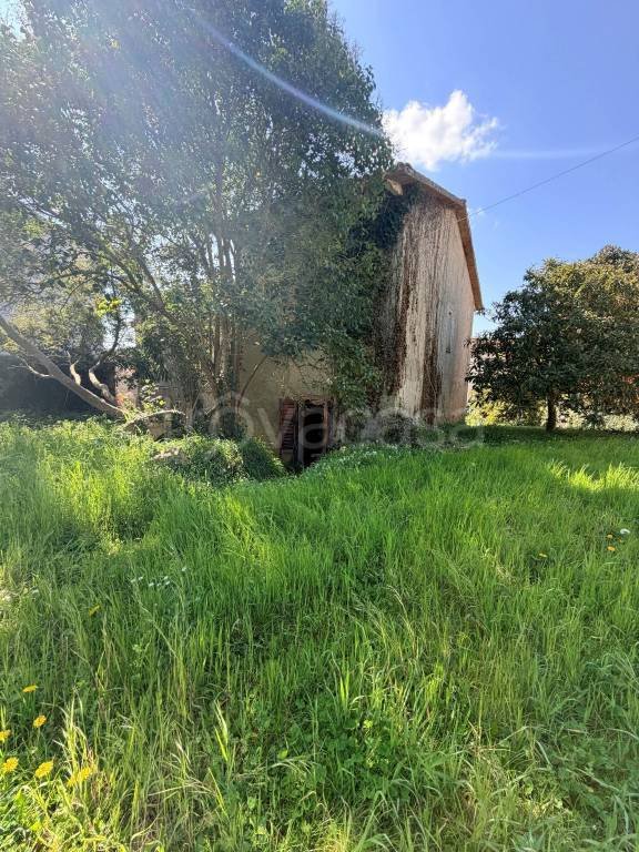 casa indipendente in vendita a Palaia in zona Forcoli