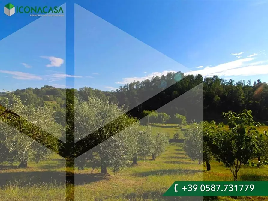 terreno agricolo in vendita a Palaia in zona Chiecinella