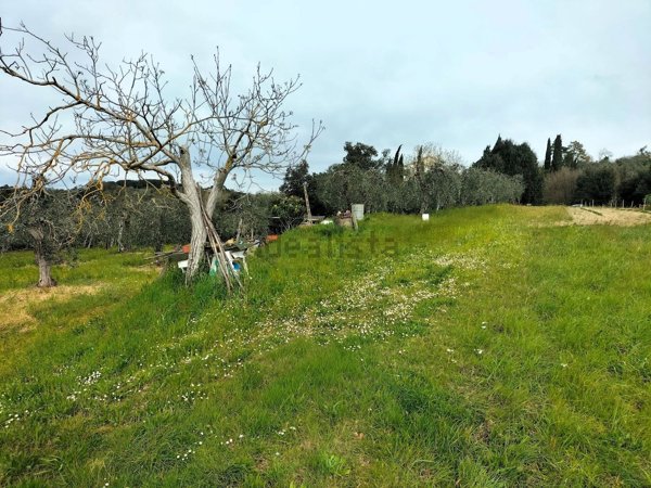 terreno agricolo in vendita a Palaia in zona Montefoscoli
