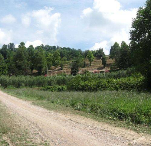 casa indipendente in vendita a Palaia in zona Forcoli