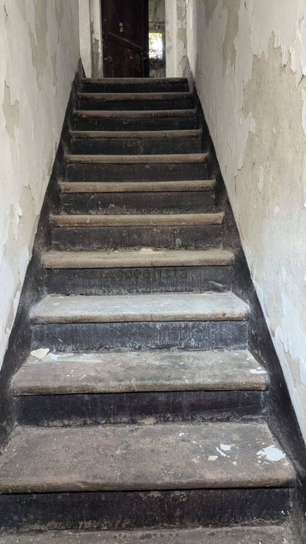 casa indipendente in vendita a Palaia