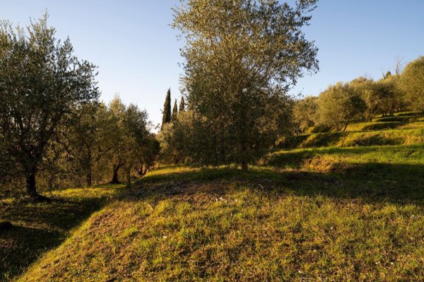 casale in vendita a Palaia in zona Forcoli