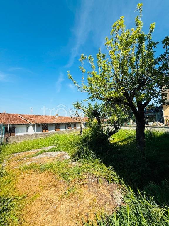 appartamento in vendita a Palaia in zona Montefoscoli