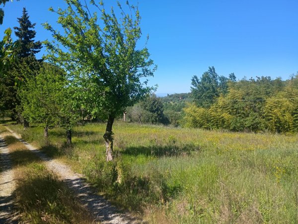 casa indipendente in vendita a Palaia