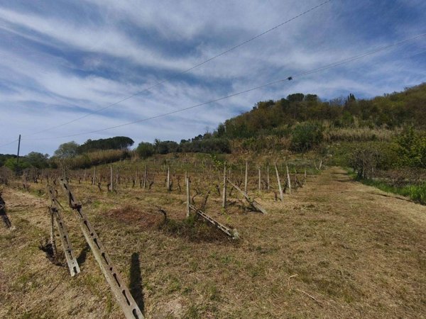 terreno in vendita a Palaia in zona Forcoli