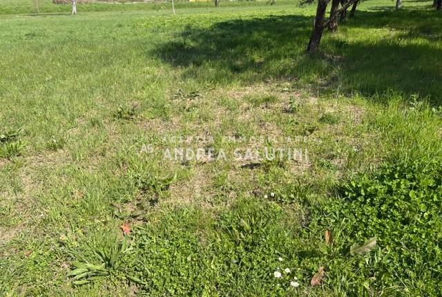 terreno in vendita a Palaia in zona Baccanella