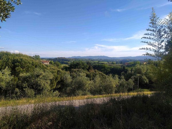 terreno in vendita a Palaia in zona Partino