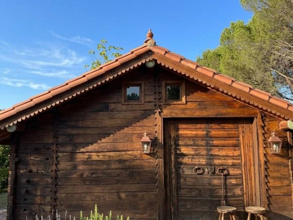 terreno agricolo in vendita a Palaia in zona Partino