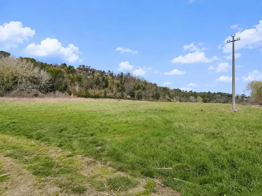 terreno in vendita a Palaia