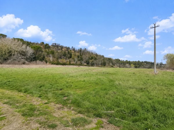 terreno in vendita a Palaia in zona Montefoscoli