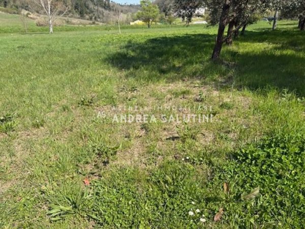 terreno in vendita a Palaia in zona Gello