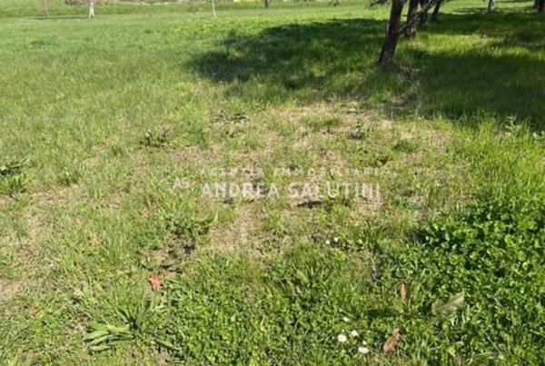 terreno in vendita a Palaia in zona Baccanella