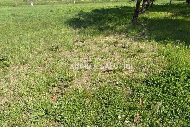 terreno in vendita a Palaia in zona Baccanella