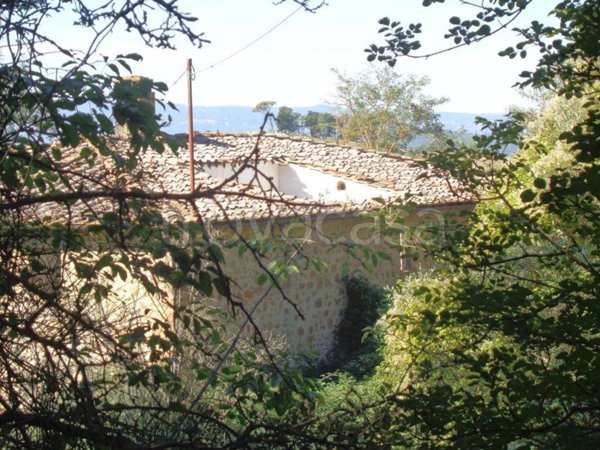 casa indipendente in vendita a Peccioli