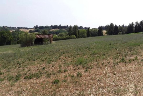 terreno agricolo in vendita a Peccioli in zona Fabbrica